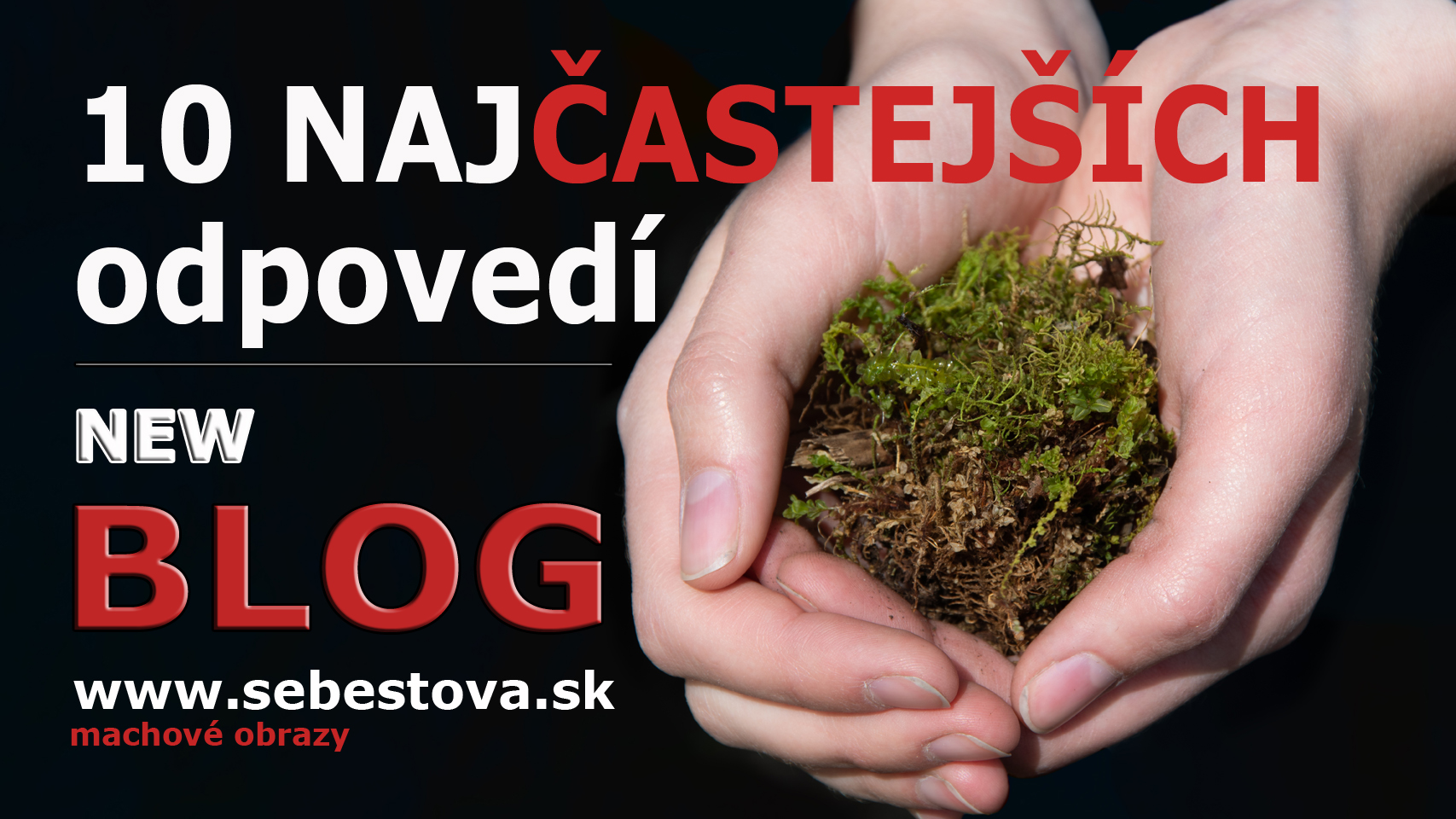 10 NAJčastejších odpovedí_BLOG_1